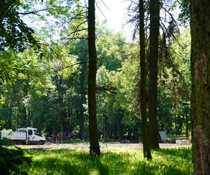 Rewitalizacja Parku Planty. Tak wyglądają majowe prace w centrum Białegostoku