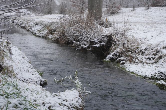 Zima w Świętokrzyskiem. Skarżysko-Kamienna (22.11.2024)