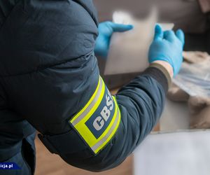 Podkarpackie: GANG SUTENERÓW rozbity! Tak wyniszczali konkurencję [WIDEO, ZDJĘCIA]