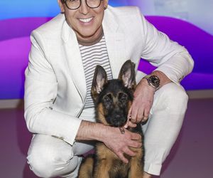 Te psy skradły serca gwiazd! 