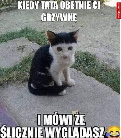 Najlepsze memy na Dzień Ojca 2024
