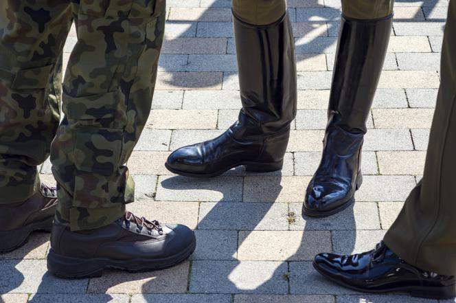 wojsko, buty, oficerki, kamsze