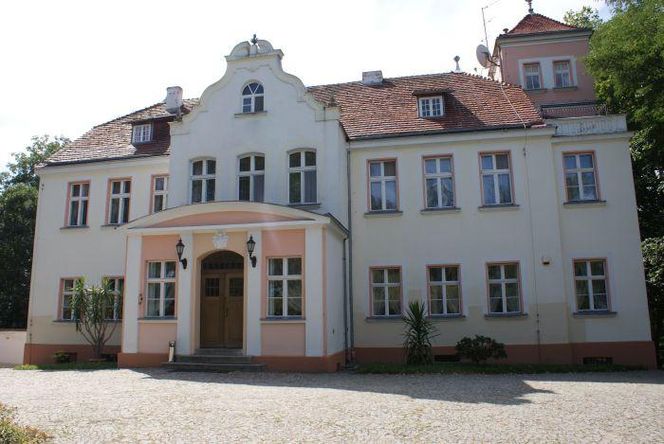 Pałac w Witosławiu