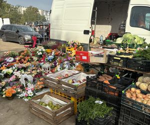 Niedzielny Targ - nowy pchli targ w Poznaniu