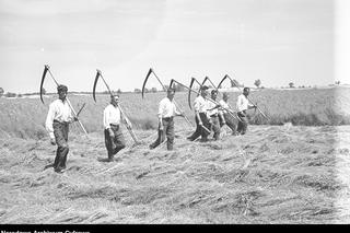 Polska wieś w II RP