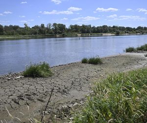 Alarm! Wisła wysycha na naszych oczach. Katastrofalny poziom wody w Warszawie