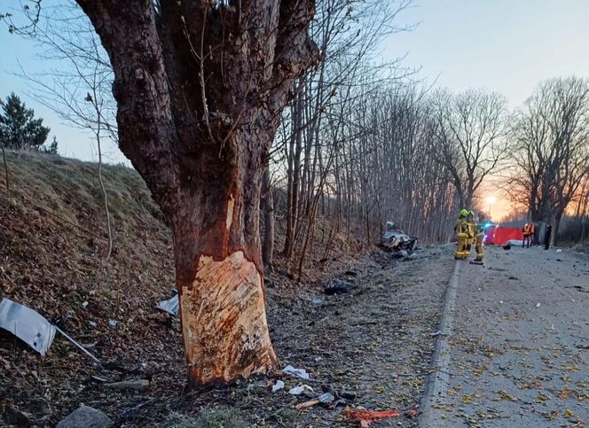Sopieszyno. Audi roztrzaskało się na drzewie. 36-latek nie miał szans na przeżycie