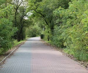 Jesienna odsłona terenów nad Bystrzycą w Lublinie. Tak się prezentuje w październiku