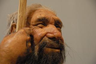 Mazowsze: archeolodzy odkryli narzędzia neandertalczyków! Zobaczcie, jak wyglądają
