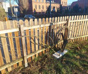 Muzeum Patyka w Toruniu