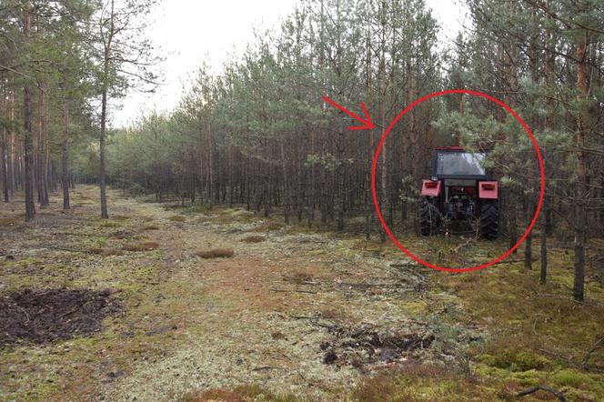 Ukradł ciągnik i ukrył go w lesie! Duża kradzież pod Pleszewem