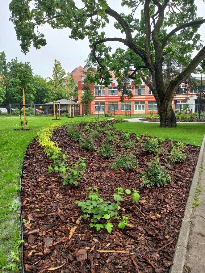 "Ukraińskie ustronie" to nowy toruński park kieszonkowy