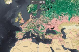 Tak będzie wyglądać Polska i Europa w 2050 roku. Mapa zdradza, co nas czeka!
