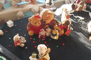 Ponad pół tysiąca pluszowych misiów w jednym miejscu. Wyjątkowa wystawa w Bydgoszczy!