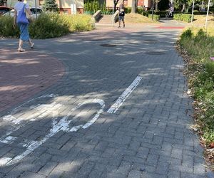 Nowatorski projekt w Świdniku. Seniorzy jeżdżą rikszą po mieście
