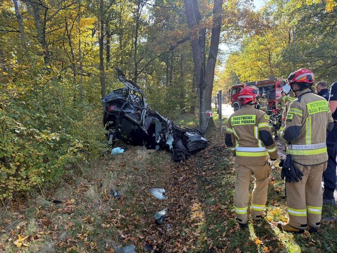 Śmiertelny wypadek pod Polkowicami. Nie żyje kierowca audi [ZDJĘCIA]