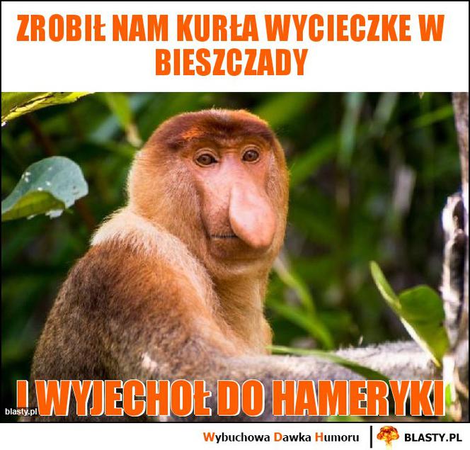 Memy o Bieszczadach