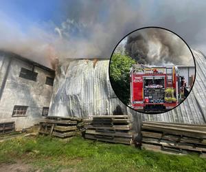 Potężny pożar hali na Mazowszu. 100 strażaków w akcji