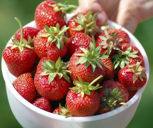 Nie wyrzucaj szypułek z truskawek. Te zielone listki to bogactwo antyoksydantów