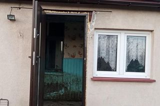 59-latka przetrzymywała psy i koty w koszmarnych warunkach