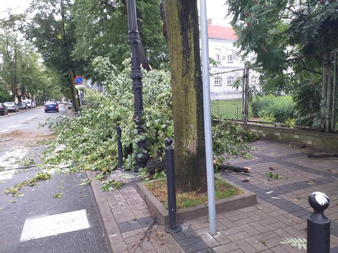 Burza w Płocku