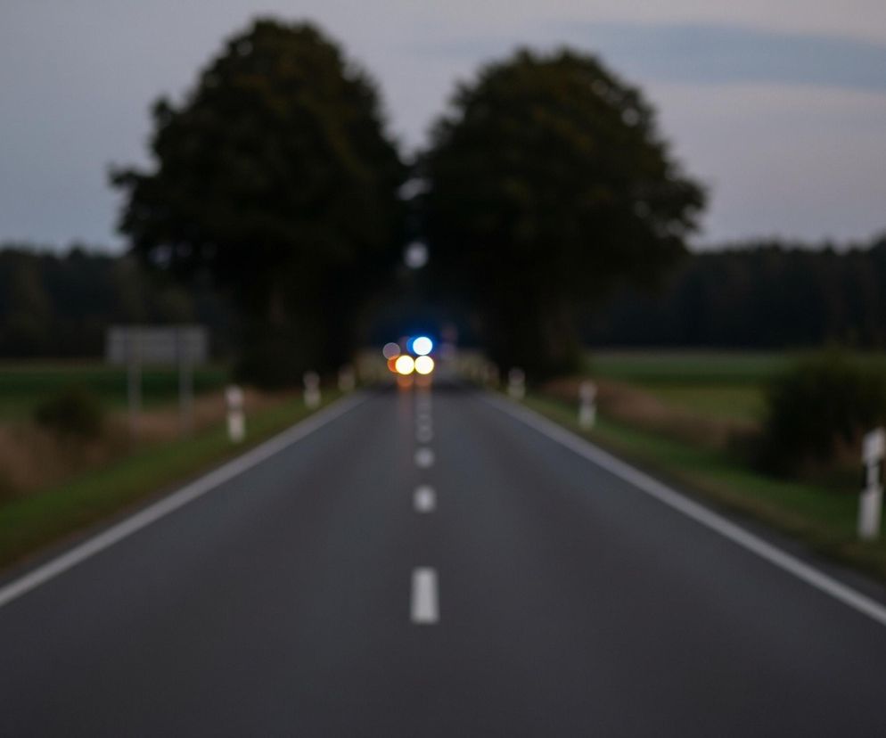 Drogę asfaltową prowadzącą w głąb kadru, otoczoną po bokach zielonymi polami i drzewami. Na horyzoncie widoczne jest ciemne niebo, przechodzące w jaśniejsze odcienie szarości ku górze. Na drodze, w oddali, znajdują się niewyraźne, rozmyte światła pojazdu: dwa pomarańczowe i jedno niebieskie. Po bokach drogi rozmieszczone są białe słupki odblaskowe z czarnymi elementami, wyznaczające jej krawędź.