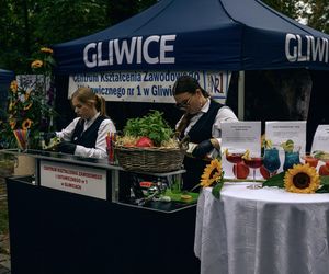 Agnieszka Chylińska, Oskar Cyms i inni. Tak świętowano Dni Gliwic