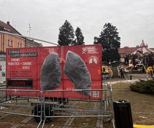 Zanieczyszczenie powietrza w Żorach wciąż bardzo wysokie. Płuca smogowe na rynku są już czarne