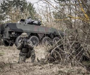 Piknik militarny w Toruniu. Zobacz, jakie atrakcje czekają na odwiedzających