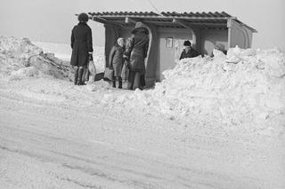 Zima stulecia w Polsce, Stare Babice (woj. mazowieckie) 1979 rok