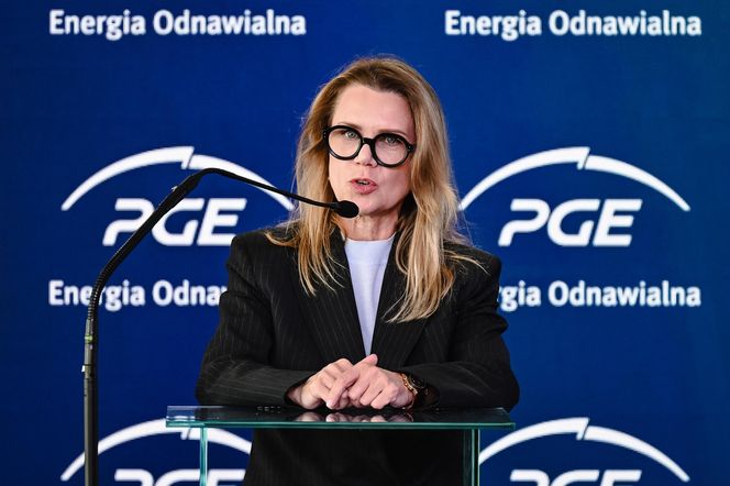 Magazyn energii w Żarnowcu.