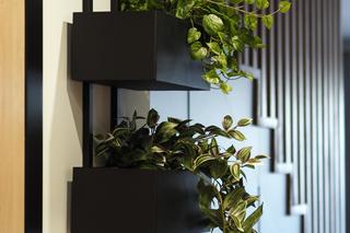 Wisząca półka na kwiaty, kwietnik na ścianę.