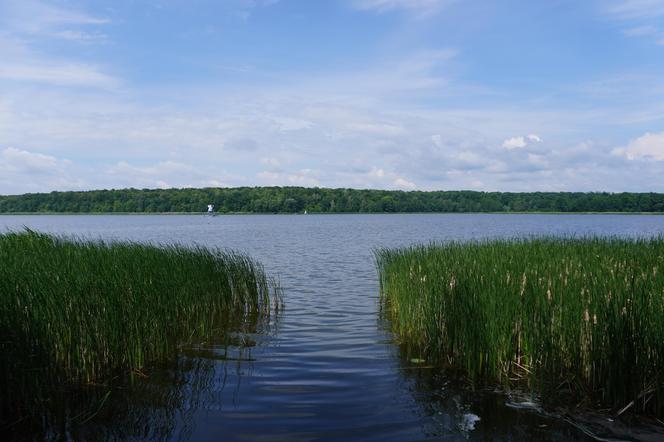 Jezioro Swarzędzkie