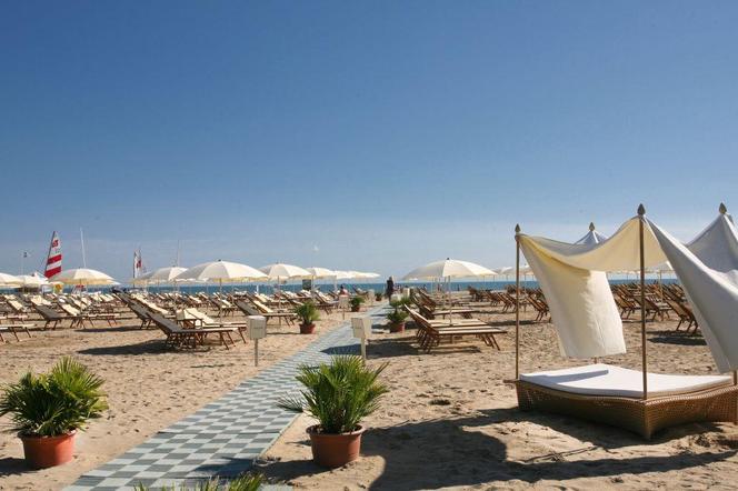 Plaże we Włoszech przyznaje psom. Region Emilia Romania to magiczne miejsce dla zwierząt