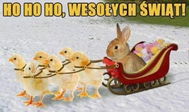 Ten poniedziałek będzie mokry! Najlepsze MEMY na śmigus-dyngus!