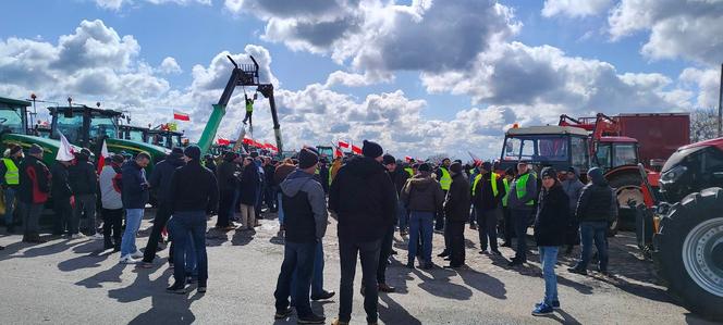 Ukrzyżowanie, bałwany i setki ciągników. Tak wyglądał protest rolniczy [ZDJĘCIA]