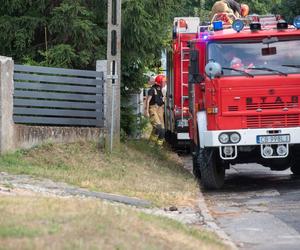 Malutka Ania miała trafić do domu dziecka, ale zginęła wraz z babcią w pożarze