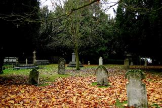 Ludzkie szczątki z prośbą o pochowek na wrocławskim cmentarzu