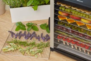 Suszarka do żywności