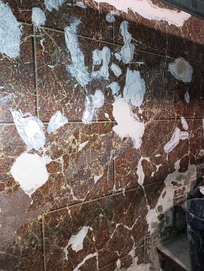 Renowacja kamienicy przy ul. Cybulskiego 19, Wrocław