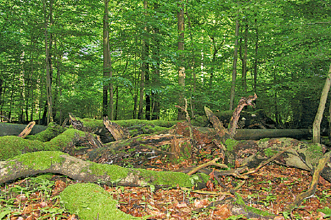 Miejsca piękne z natury