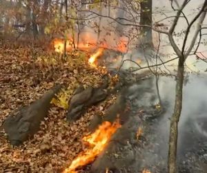 USA: Pożar trawi park na Manhattanie!