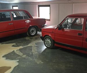 Oszukali ponad stu rolników na miliony złotych! Odbierali zwierzęta, nigdy za nie zapłacili