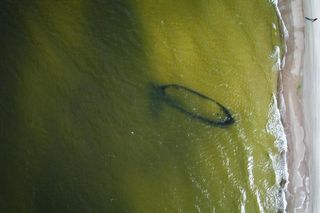 III nagroda w konkursie Śląska Fotografia Prasowa 2024