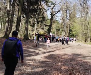 Koszmarny wypadek na szlaku na szczyt. Na miejsce wezwano śmigłowiec LPR