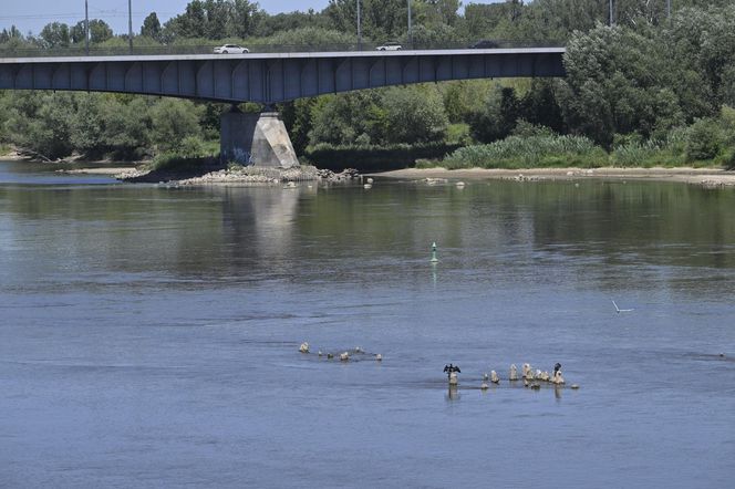 Niski stan wody w Wiśle