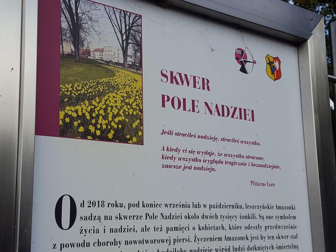 Nie tylko żonkile. Tysiące cebulek kwiatowych posadzono dziś na Polu Nadziei w Lesznie