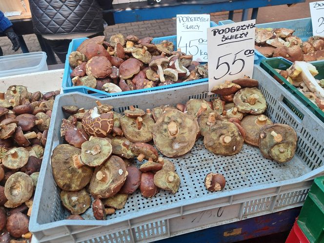 Ceny grzybów na Nowym i Starym Kleparzu w Krakowie