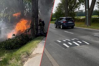 Zabezpieczyli ulicę śmierci. Rok temu BMW wbiło się tu w drzewo. Nikt nie przeżył