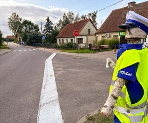 Policjant drewniak pilnuje porządku przy drodze na Mazurach. Sprawa trafiła na policję